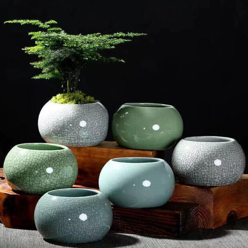 Aloe Vera Pot - Yaratıcı El Yapımı Geyao Buz Çatlak