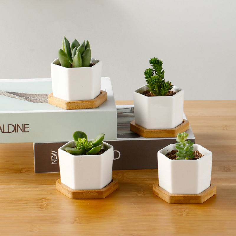Aloe Vera Pot - Seramik saksı beyaz altıgen seramik saksı