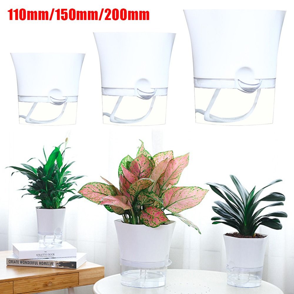 Aloe Vera Pot - Şeffaf çift katmanlı plastik saksı kendini