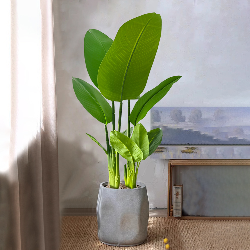 Dracaena Marginata - 37/77cm Sahte Bitki Yapay Muz Ağacı