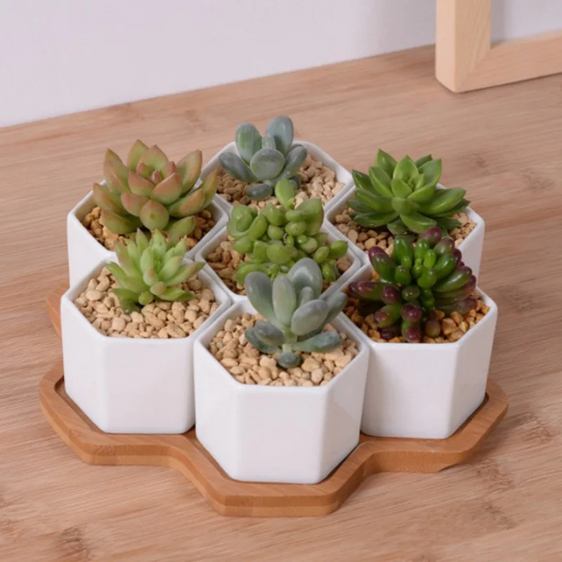 Aloe Vera Pot - 4/7/9/10 Altıgen Saksı Seti Beyaz Seramik