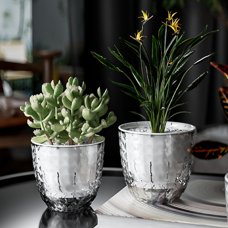 Yeşil Turp için Şeffaf Plastik - Aloe Vera Pot incelemesi ve fiyatı