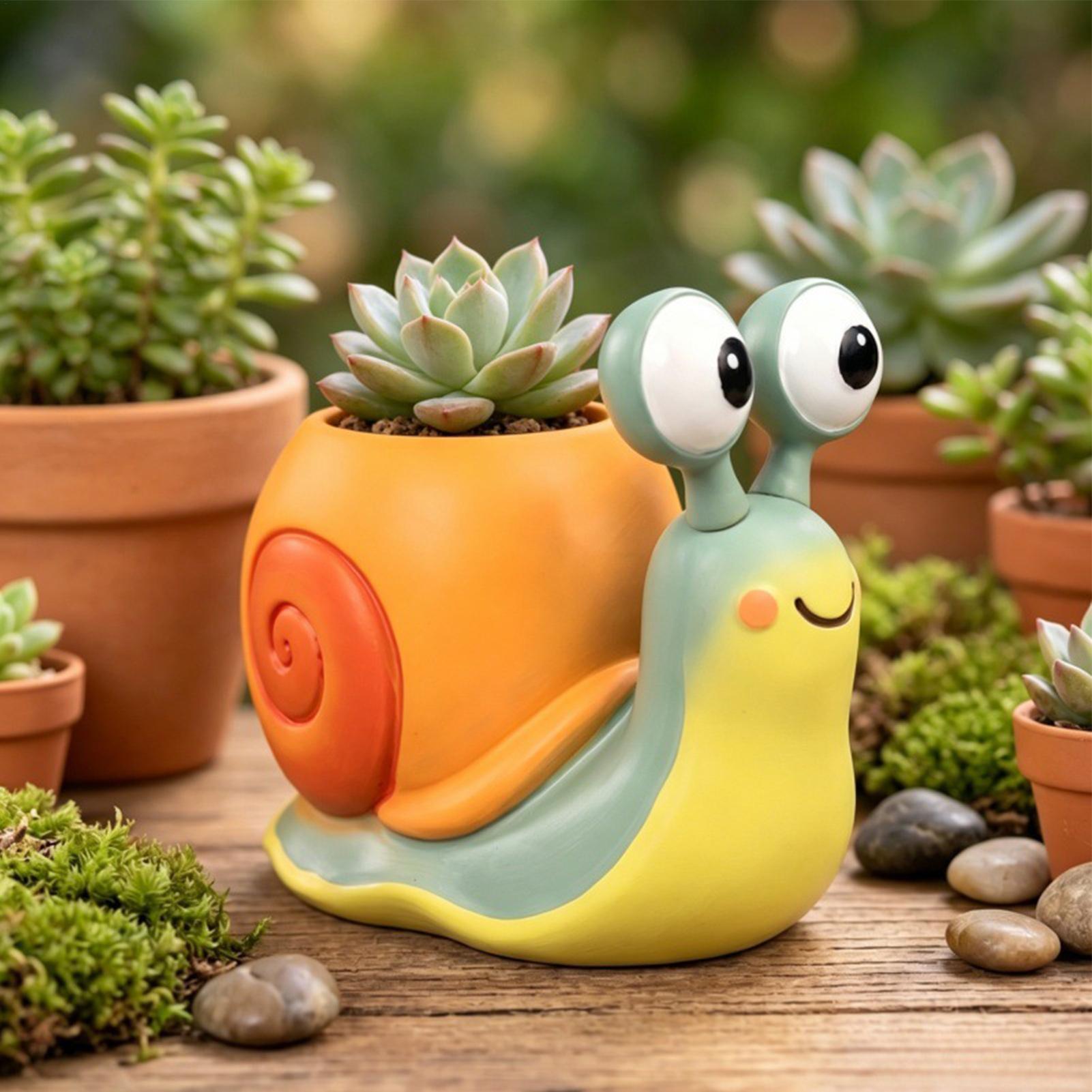 Salyangoz Şeklinde Saksı Salya - Echeveria Succulent incelemesi ve fiyatı
