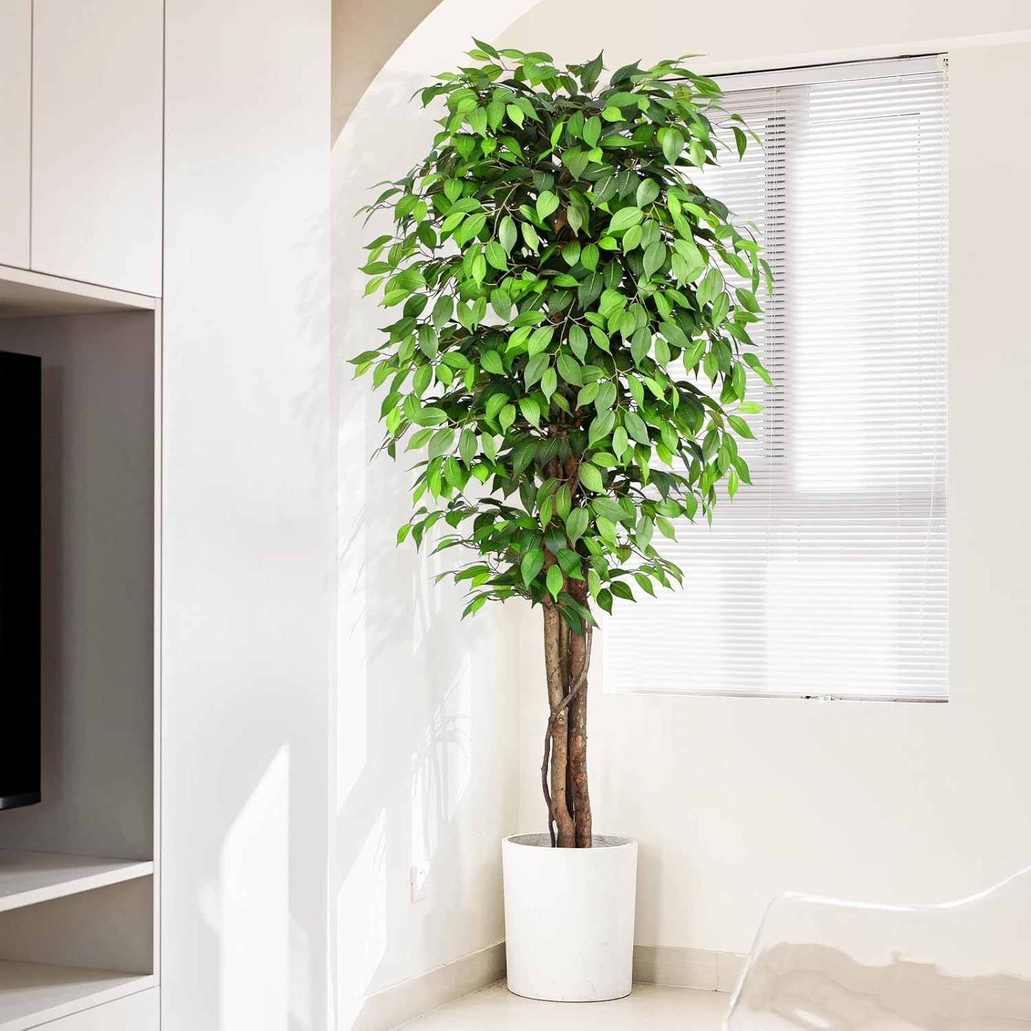 Gerçekçi Yapay Ficus Ağacı, Do - Dracaena Marginata incelemesi ve fiyatı