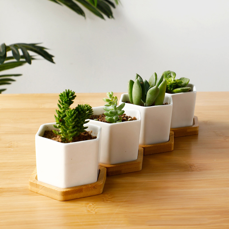 Seramik saksı beyaz altıgen se - Aloe Vera Pot incelemesi ve fiyatı