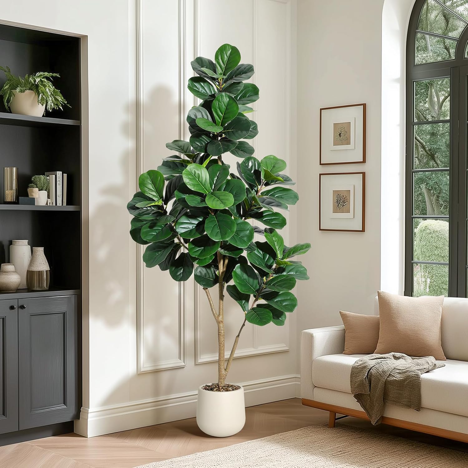4-7 FT Fiddle Leaf Fig Ağacı Y - Dracaena Marginata incelemesi ve fiyatı