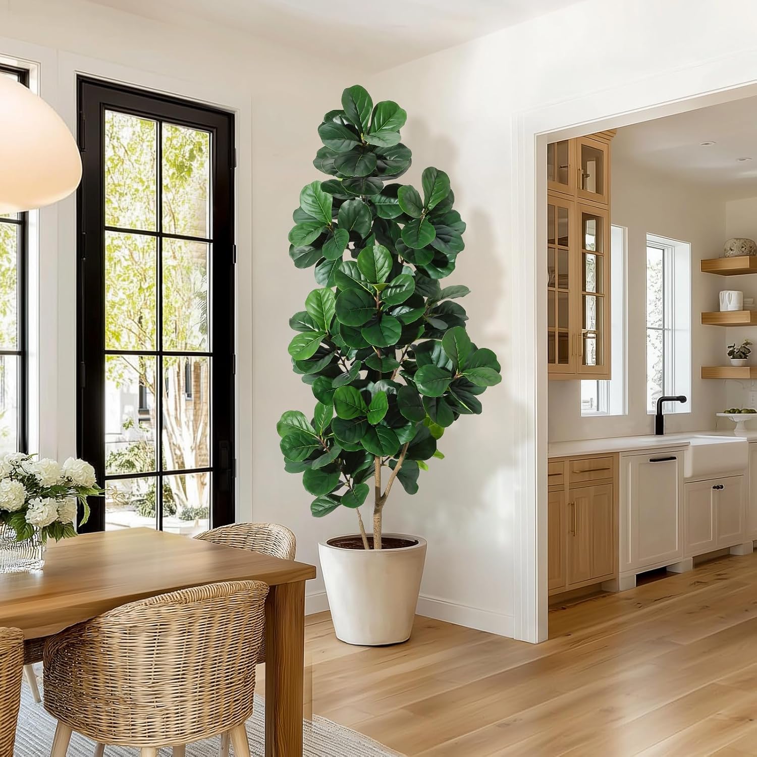 4-7 FT Fiddle Leaf Fig Ağacı Y - Dracaena Marginata incelemesi ve fiyatı