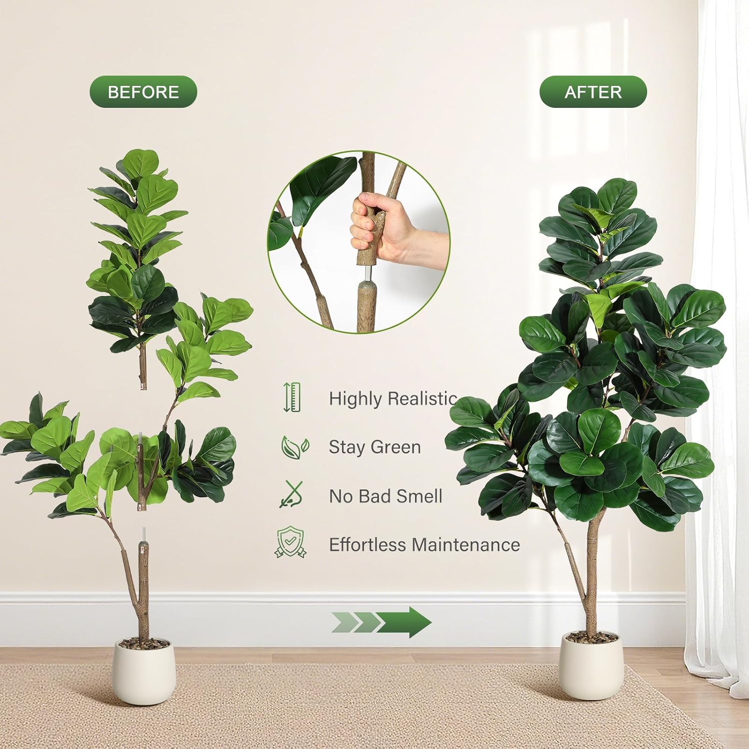 4-7 FT Fiddle Leaf Fig Ağacı Y - Dracaena Marginata incelemesi ve fiyatı
