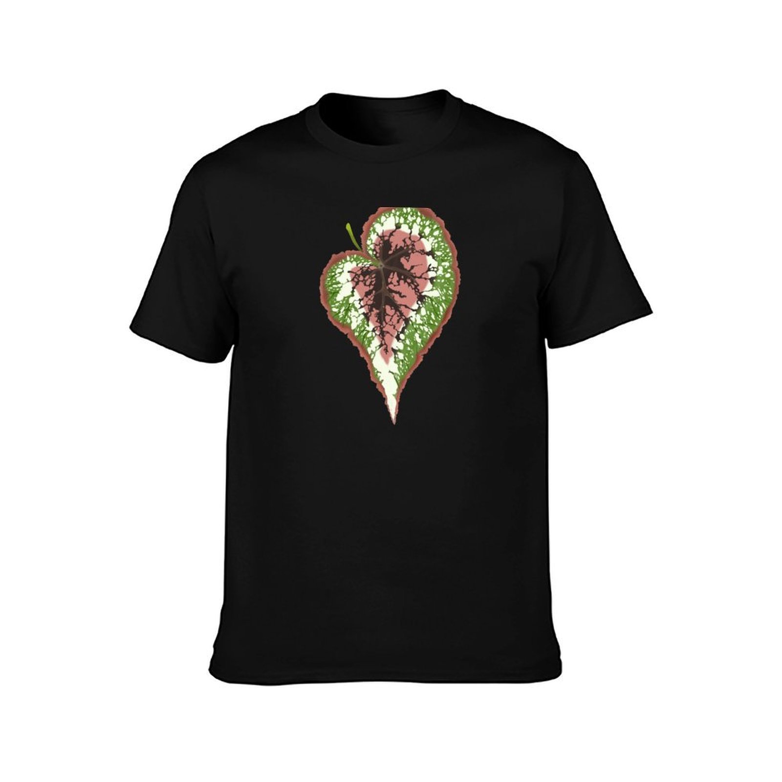Begonia Rex Tişörtü, Yazlık Ra - Begonia Rex incelemesi ve fiyatı