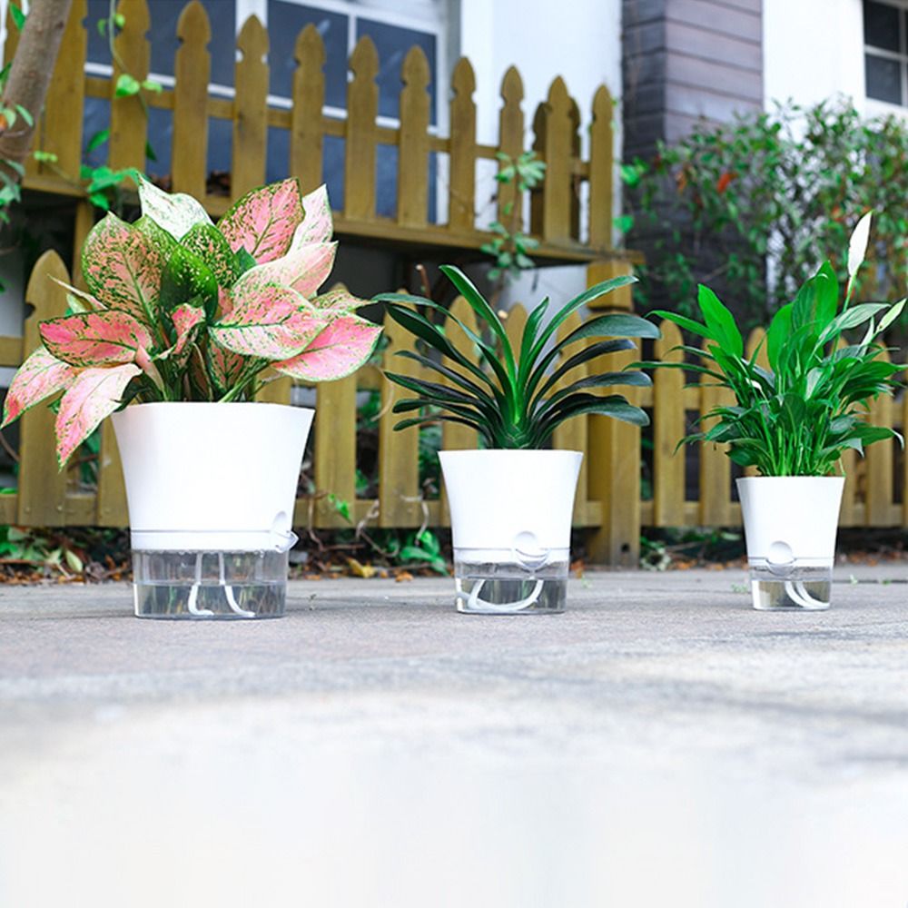 Şeffaf çift katmanlı plastik s - Aloe Vera Pot incelemesi ve fiyatı
