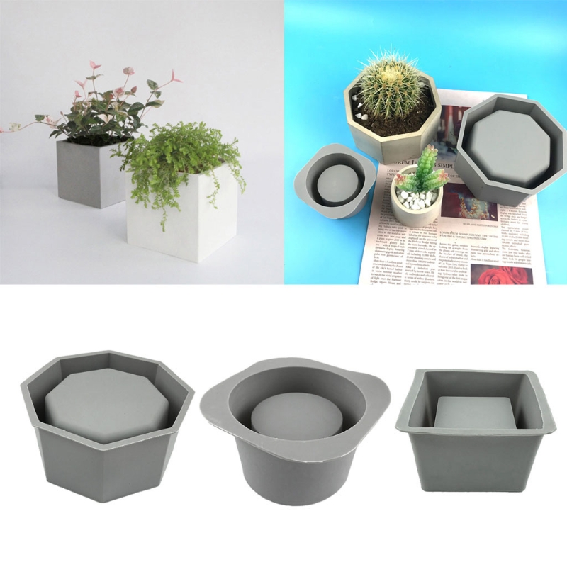 El yapımı çiçeklik saksı silik - Echeveria Succulent incelemesi ve fiyatı