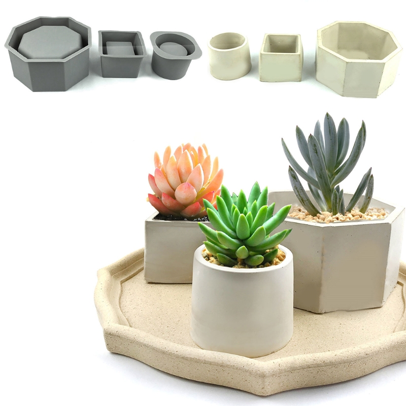 El yapımı çiçeklik saksı silik - Echeveria Succulent incelemesi ve fiyatı