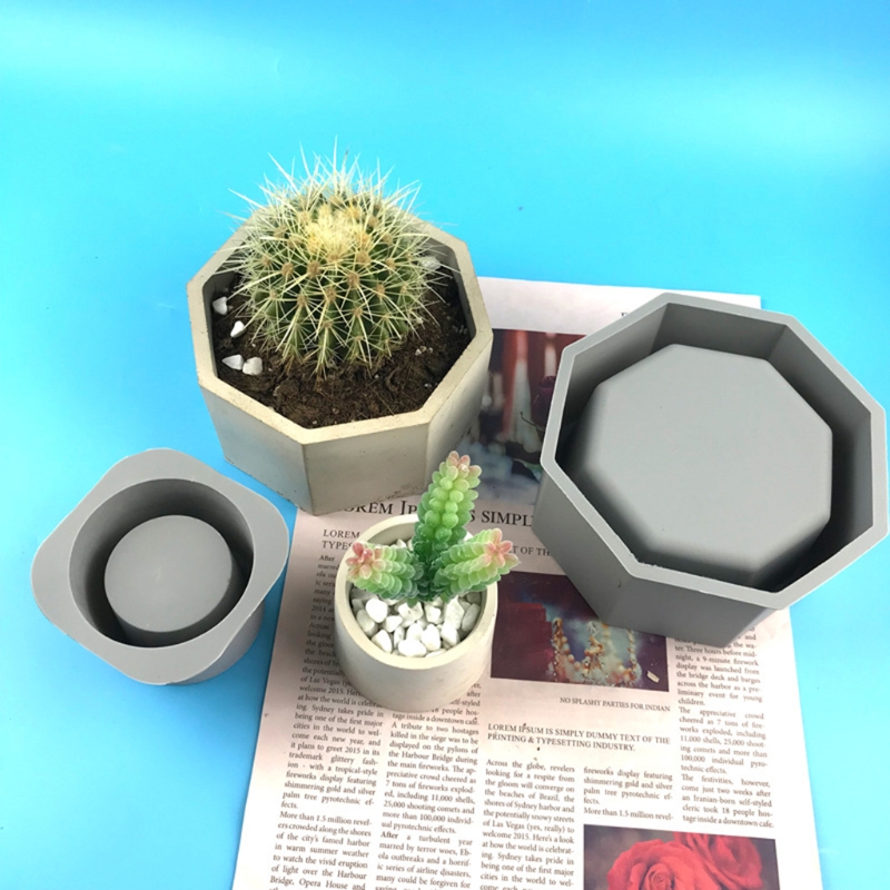 El yapımı çiçeklik saksı silik - Echeveria Succulent incelemesi ve fiyatı