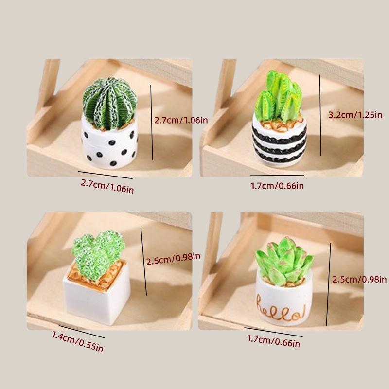 4 Parçalı Kaktüs Sukulent Saks - Echeveria Succulent incelemesi ve fiyatı