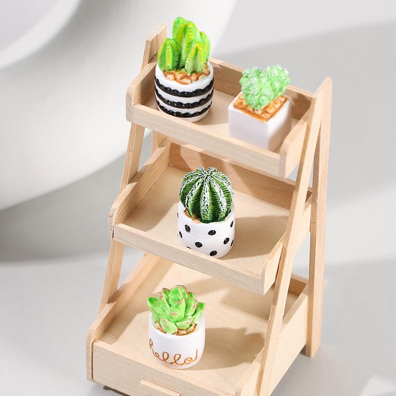 4 Parçalı Kaktüs Sukulent Saks - Echeveria Succulent incelemesi ve fiyatı