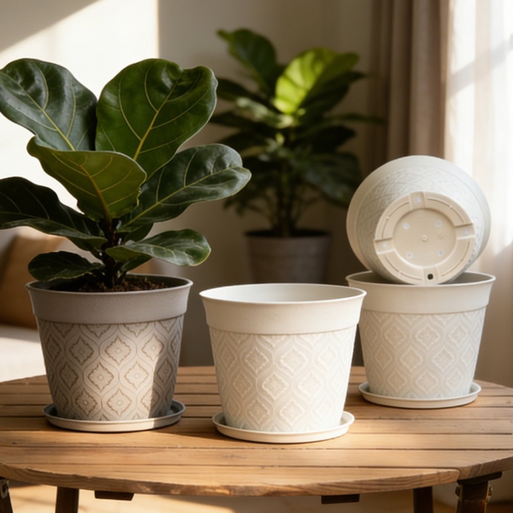 Mat Kaplama Bitki Saksısı, Küç - Aloe Vera Pot incelemesi ve fiyatı