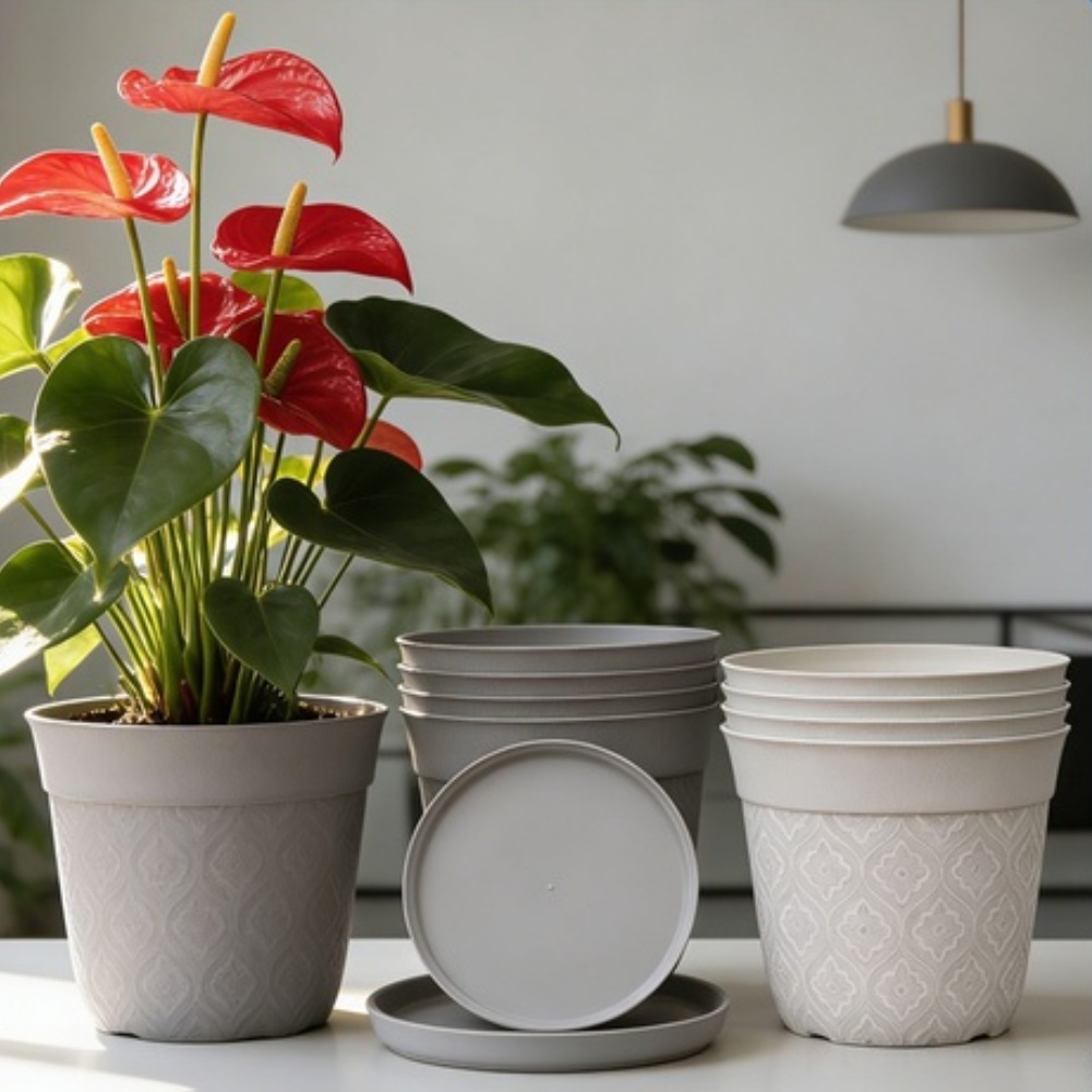 Mat Kaplama Bitki Saksısı, Küç - Aloe Vera Pot incelemesi ve fiyatı