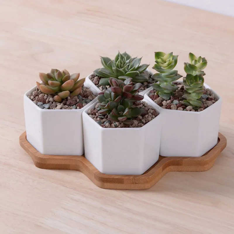 4/7/9/10 Altıgen Saksı Seti Be - Aloe Vera Pot incelemesi ve fiyatı