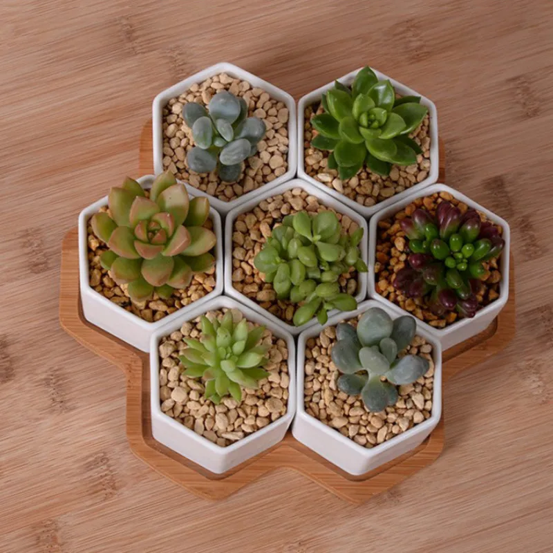 4/7/9/10 Altıgen Saksı Seti Be - Aloe Vera Pot incelemesi ve fiyatı