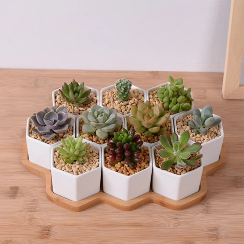 4/7/9/10 Altıgen Saksı Seti Be - Aloe Vera Pot incelemesi ve fiyatı