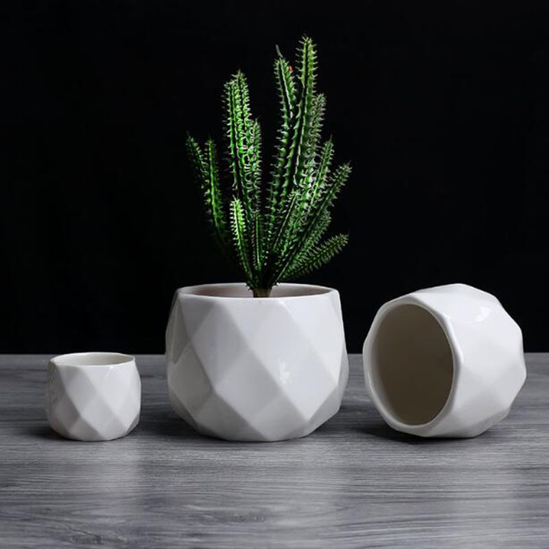 Avrupa Sadelik Tarzı Beyaz Por - Aloe Vera Pot incelemesi ve fiyatı