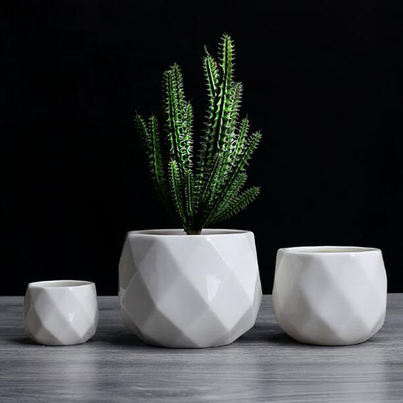 Avrupa Sadelik Tarzı Beyaz Por - Aloe Vera Pot incelemesi ve fiyatı
